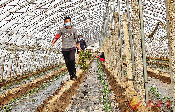 �����Ҥ䳡�o�Y�ʭ����ߥͲ����U�աA�ѨM��A�ʵu�u���D�A�[�򧹦��W�שM��]�C