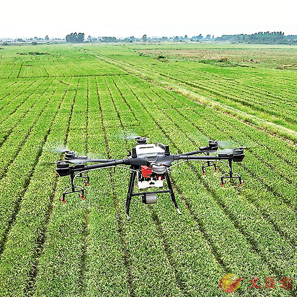 ���L�H���i��A�ļQ�x�A10�����N6�a���мQ�x�����C