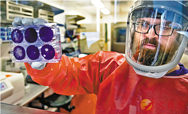 ������M�a����f�r�˥��C ���p��