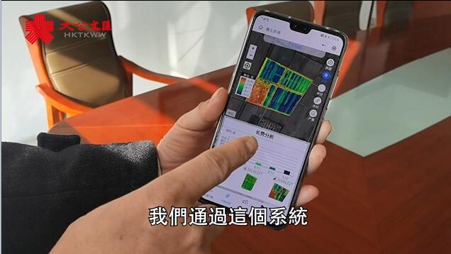 疫情期咋了解小麥長勢�H科技助農戶春耕 
