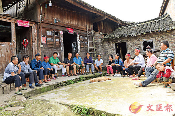 ���A��߳h�F���P�����@�ܵo�i�C