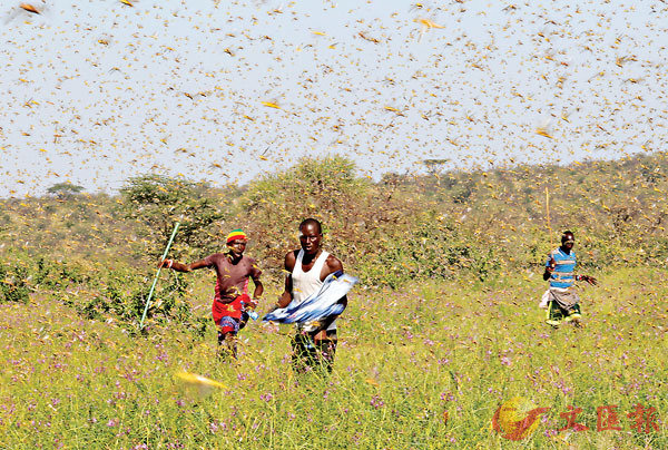 �� �]�̱���ê���ξ��B��A�A���S�]�~�a�O�j���A�F�D���a�ΤQ���Y�m�C ��ƹϤ�