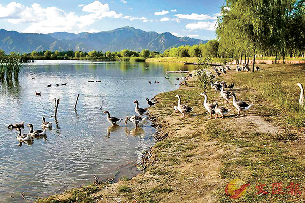 ���_�ʸT��H���ά��ت��y����L���ͳ��Ͱʪ��A�H�Ϫ̳̰��B���Ͱʪ��Ψ�s�~���ȤG�Q���@�ڡC�Ϭ��_�ʰߤ@��a�����۵M�O�@�ϳ��n��װ����C ���W�Ϥ�