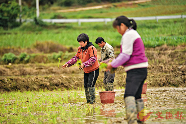 ���A�~�A�������ܡA���~����O�ܨ����~³���צ��C�Ϭ���e�s�誺�A���b�Ф��߯��شӤ��_�C ��ƹϤ�