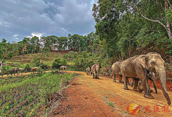 ���M�ک��L�k�Ӿ�}�i�j�H���O�ΡA�W�멳�}�l�N�O100���j�H�e���C ���p��