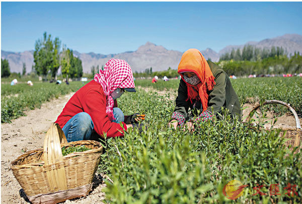 Fո`ӤOI]AO~N~³wCϬLYC sت