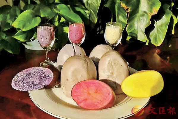 ���Աa��ζ���|�X9�Ө㦳�ۥD���Ѳ��v���m�Ⱘ�a���s�~�t�C �����׳���w�ǯu