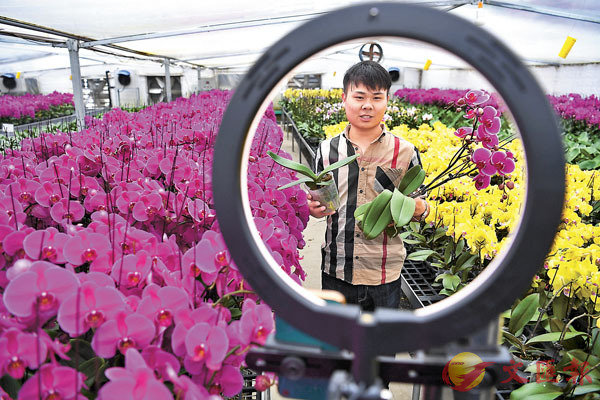 wΦoiucg١vUOhC ƹϤ