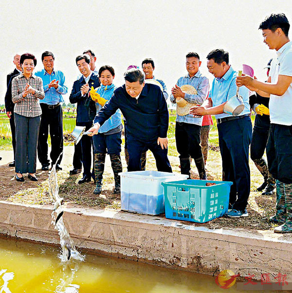 ߪ񥭱oͺAس]AҹPsͺAO@pC WϤ