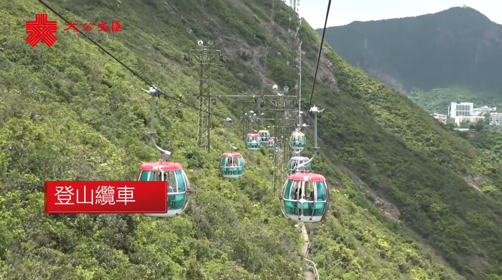 海洋公園恢復營運 點仔帶你遊一圈 