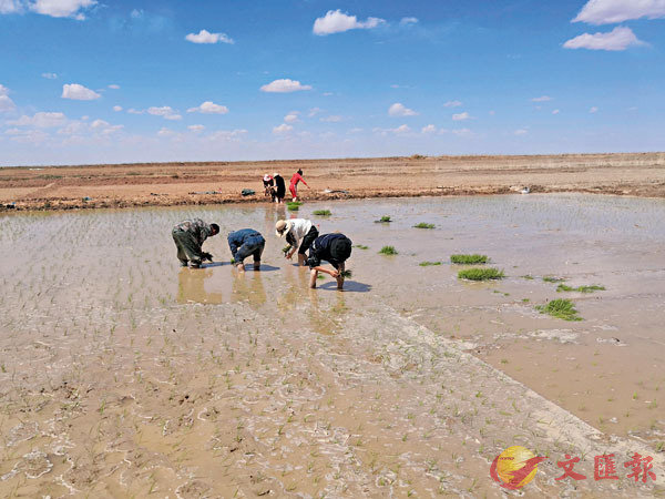 �� �C��������պشӡu�����_�v�C ��ƹϤ�