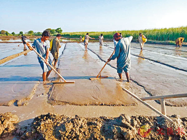 �����a�A���b�ش�������_�C ���X�̨ѹ�