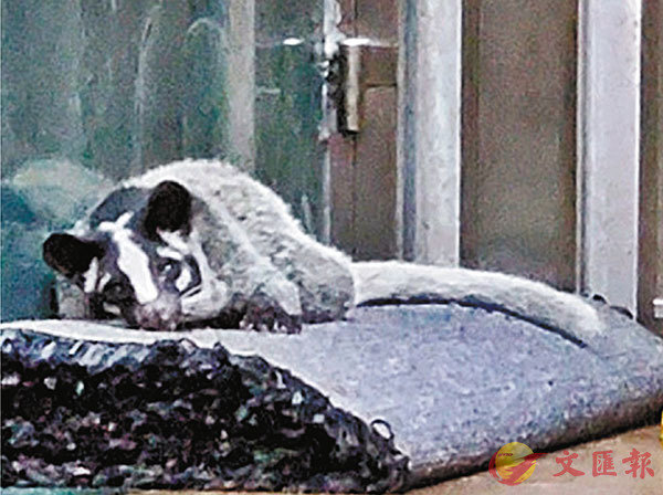 ���G�l�W��b�@���a�֤W�𮧡C