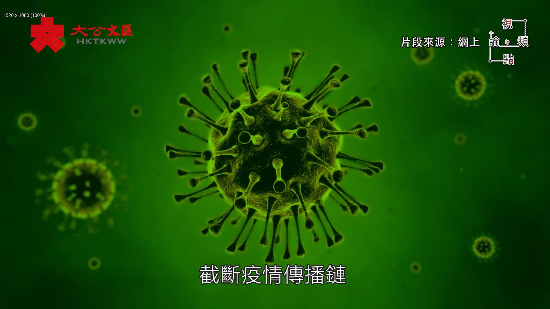 視頻論點 | 政治病毒危害更大 