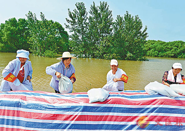 ������E�������s�w�A�ܬx�u�k�l�������v���b�����[�T�l���C ���W�Ϥ�