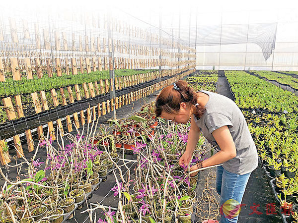 ���H�f�����D�n��q����ѥͪ��޳N�O�{�N�ͪ��|�ت����n�~�|�C�Ϭ����n�ӪŨ|�ءB�z����|����c�C���X�̨ѹ�