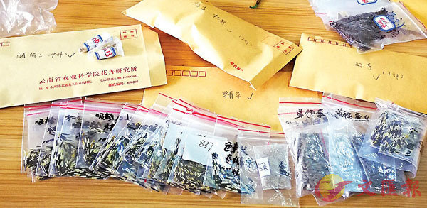 �����n�ӪŨ|�س�¶���~�o�i�C�Ϭ����~5��f���s�@�N���H��������C�C�ӪŪ�^�a����������c�ؤl�C�����׳��O�̤B��i  ��