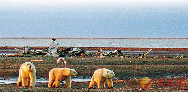 �� ����p����_���Īo�C ���z��