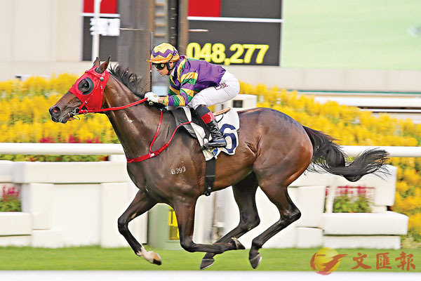 �ѨH�����V�m���u�̦X��v�Q���ګׯ�U�ӥX�S���סC