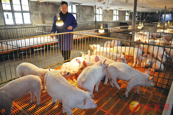 ���A���챶�U�ѨM���西���i�ަ������q�U��i�ޤ᪺������D�C