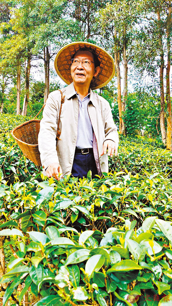 ■王敏正認為對普洱茶行業來說，直播對營銷方式的改變不容小覷。