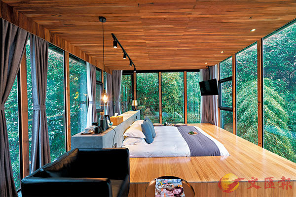 ■ 莫干山隱西39精品民宿房間被樹海環繞。受訪者供圖