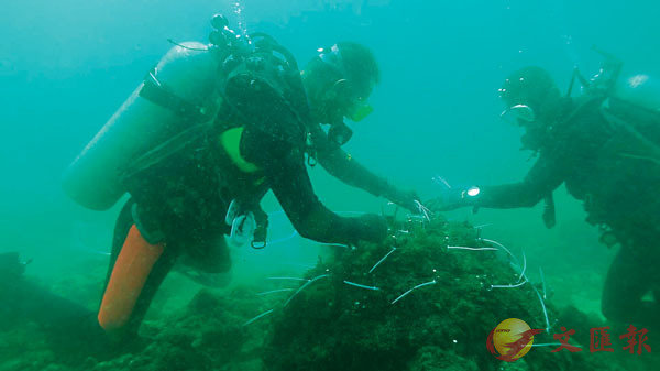 �� ������@�Ӯ��v�ͪ��M���~�귽���״I�ʩM�h�˩ʡA���v�@���S���F����N�|�ܦ��u���v��z�v�C�Ϭ����Y�դh���ζ����b�����аO�׸ɬ���C ���X�̨ѹ�