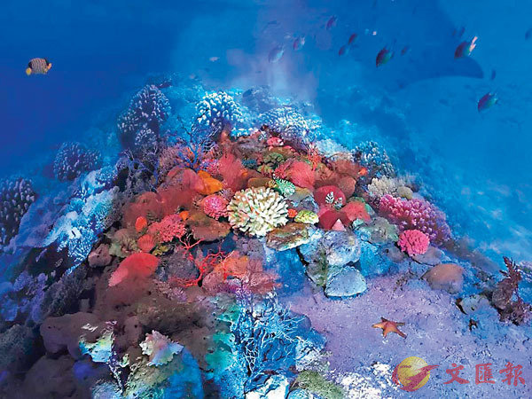 �� �����G�ͺA�t�γQ�٬��u���v�ت����a�B�L�v�A�O���h���v�ͪ����Ϯ��a�C���W�Ϥ�