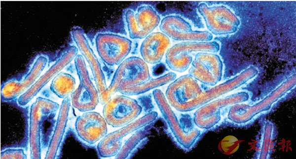 �� ��L��U���d���p�f�r�C