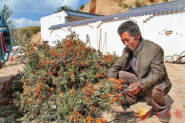 �������s���A�m�˭�2014�~�}�l�����F�ơA�t�ΤƲĤ@�~�j�a�N�ÿ��F�C���X�̨ѹ�