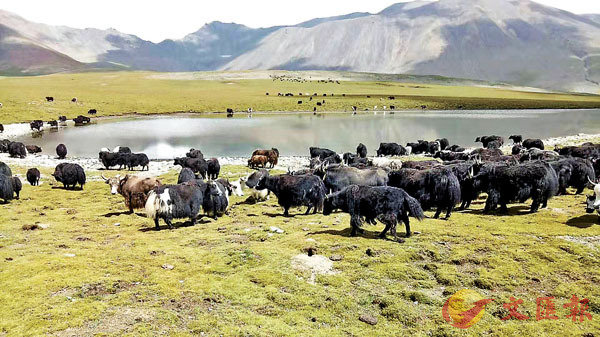 ���ͪ��b�C�ð��쪺�����C   ���X�̨ѹ�