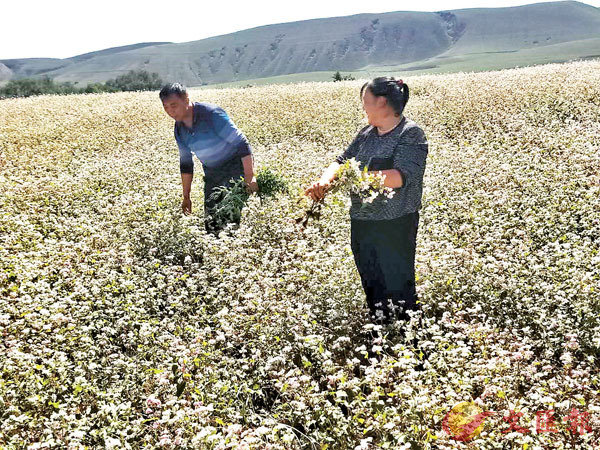 ۱l@aشӭWL\FWlC׳O̤|i 