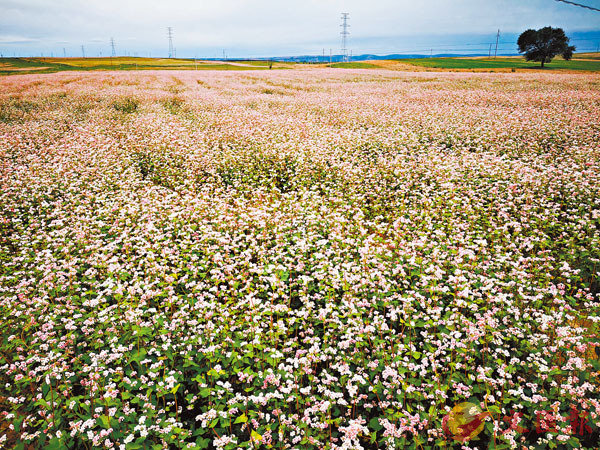 QԥͺASIܾAXWLͪC׳O̤|i  