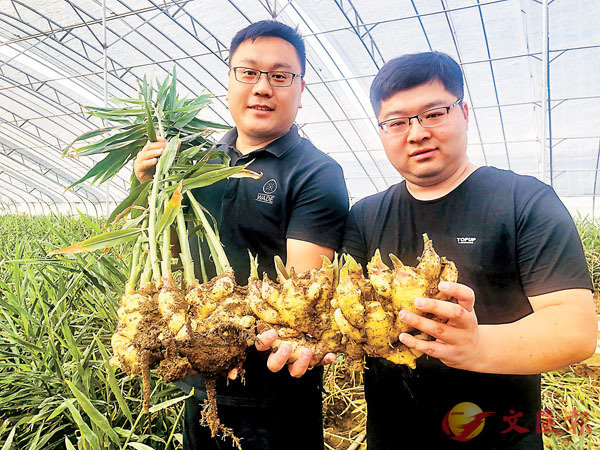 ǰ]k^MQ]^iܭޥXӪC ׳O̤BKR 