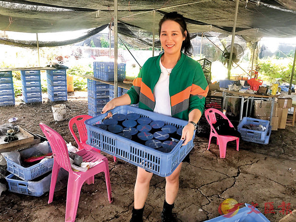 ӤӮ}]@ѩlAF}ꨮAXGƳవC׳O̱αӽ  