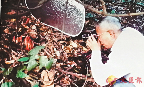 �����б·���o�{����D�ݪ��{���C