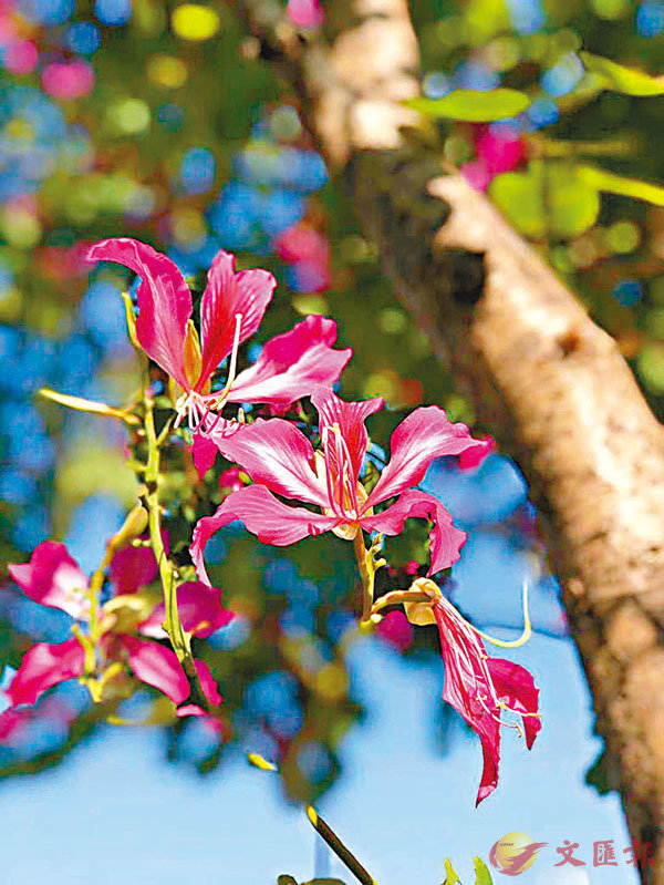 ���Ӥ��O�̪����󭻴�����K�����骺�����}�I�@�̨ѹ�