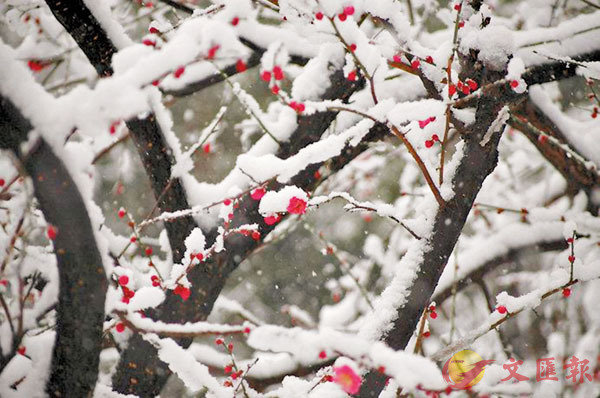 ���H���C�@�̨ѹ�