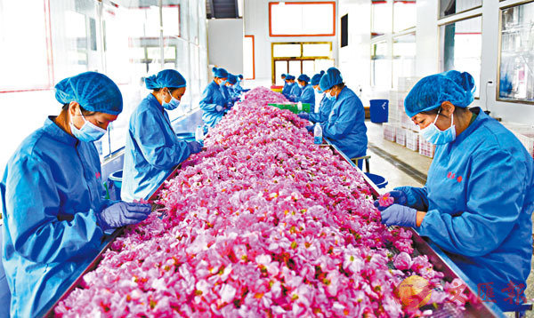 5뤤8UOp}AuH̹{KiDB[uCX̨ѹ