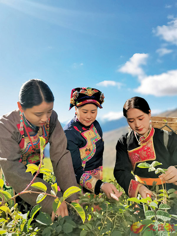 ������z�]���^���ɪ����شӡC ���X�̨ѹ�