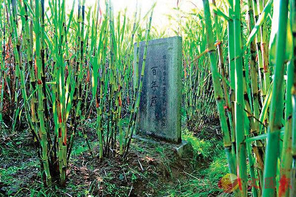 ���Q�˦ʦ~���C ���W�Ϥ�