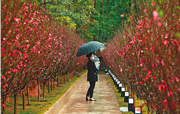 ���O�s�x�s�K�����A�H���ʮ���§�ѽѦ���ġA�������֡C �����׳��O��  ��