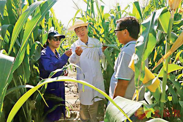 ���A�~�M�a�b�sæ�ɦ̨|�ذ�a��a�ҹ�C ���X�̨ѹ�