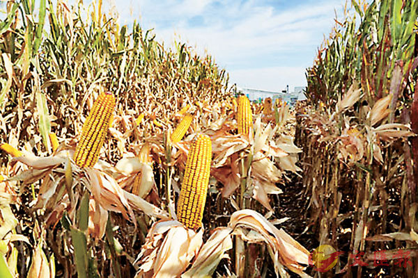 ���sæ�ɦ̨}�ءu�E�t��2468�v�C  ���X�̨ѹ�