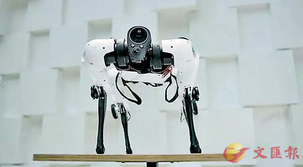 ●  騰訊Robotics X多模態機械狗Max。
