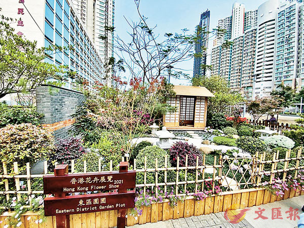 ���F�϶�E�b�R�����W������