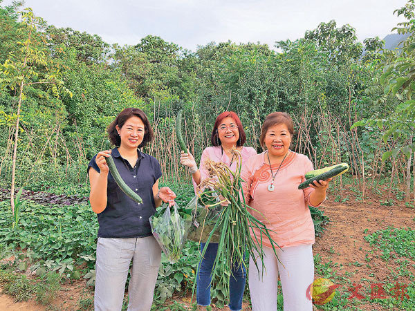 �� ���R��]�k�@�^�M�x�W�B�ͦb���Ƕ��ؤ����شӰ�a�رĺK�@���C���X�̨ѹ�