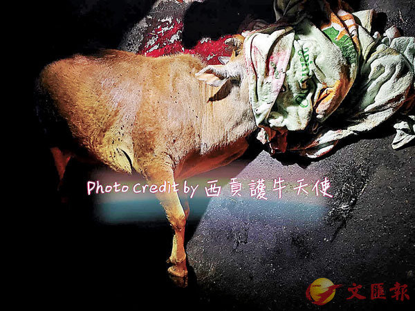 ���Q���Ū��y�����C fb�Ϥ�