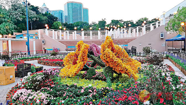 �����Y��D�D��E