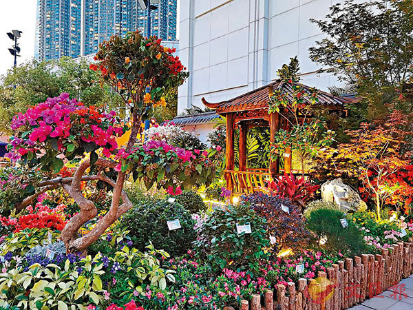 �����X�h�ئ�m�������Y�y�����[��